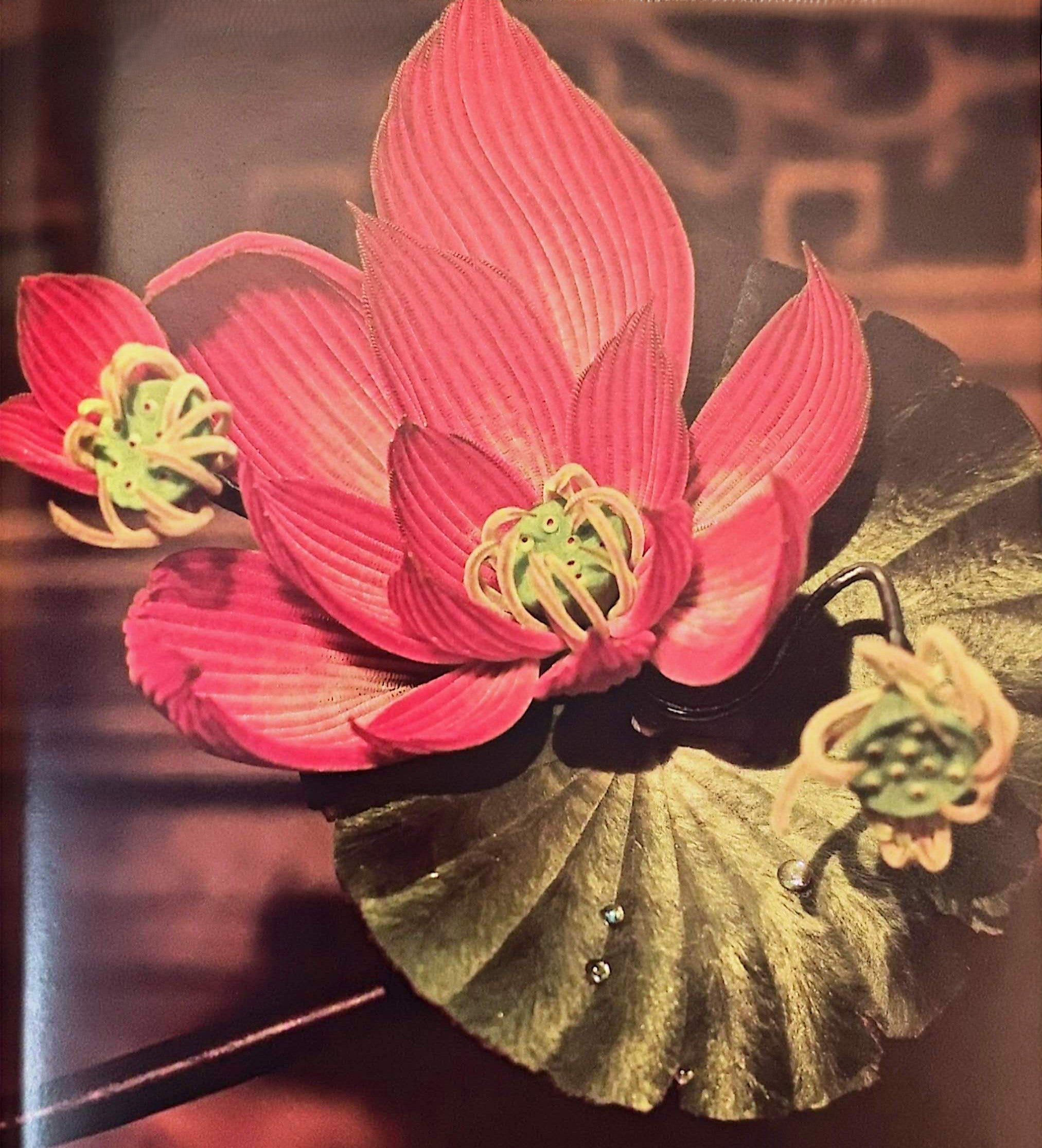 6.4 How to make a Ronghua Lotus – Fullflowers