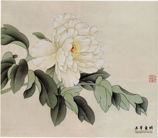The White Peony's Grace: A Chinese Art Transformation