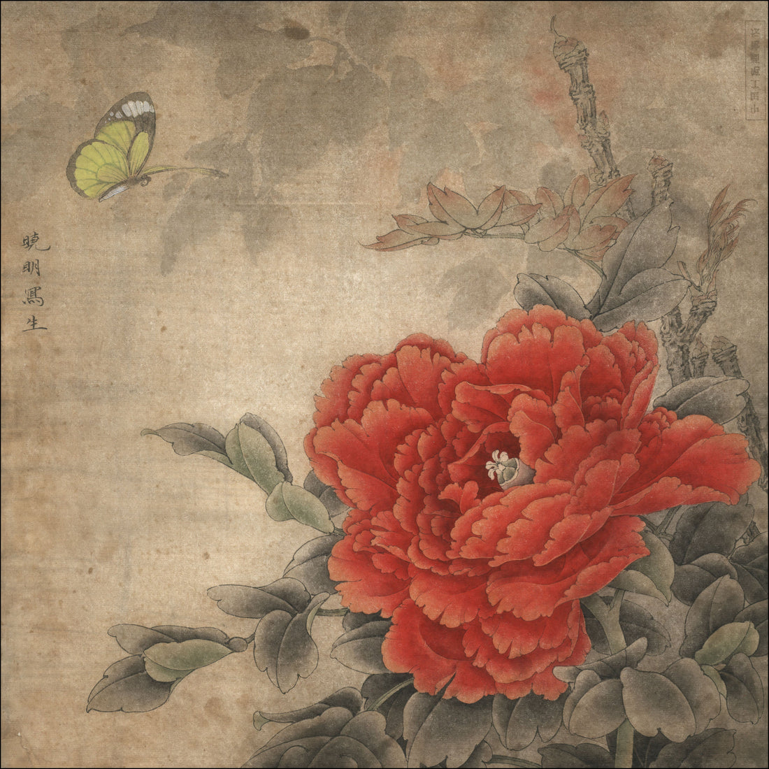 The Art of Tranquility: A Peony and Butterfly Through Chinese Brushwork