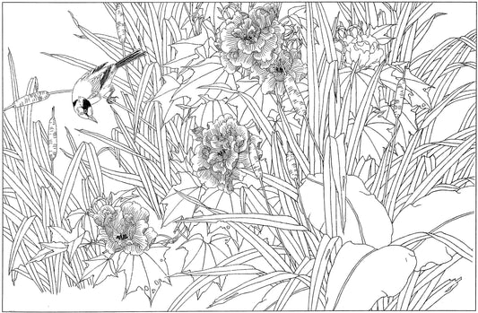 Appreciating Hibiscus: A Journey Through Chinese Drawing Techniques