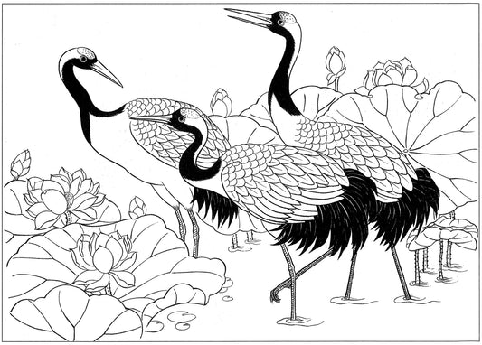 Grace in Flight: An Appreciation of Chinese Crane Drawings