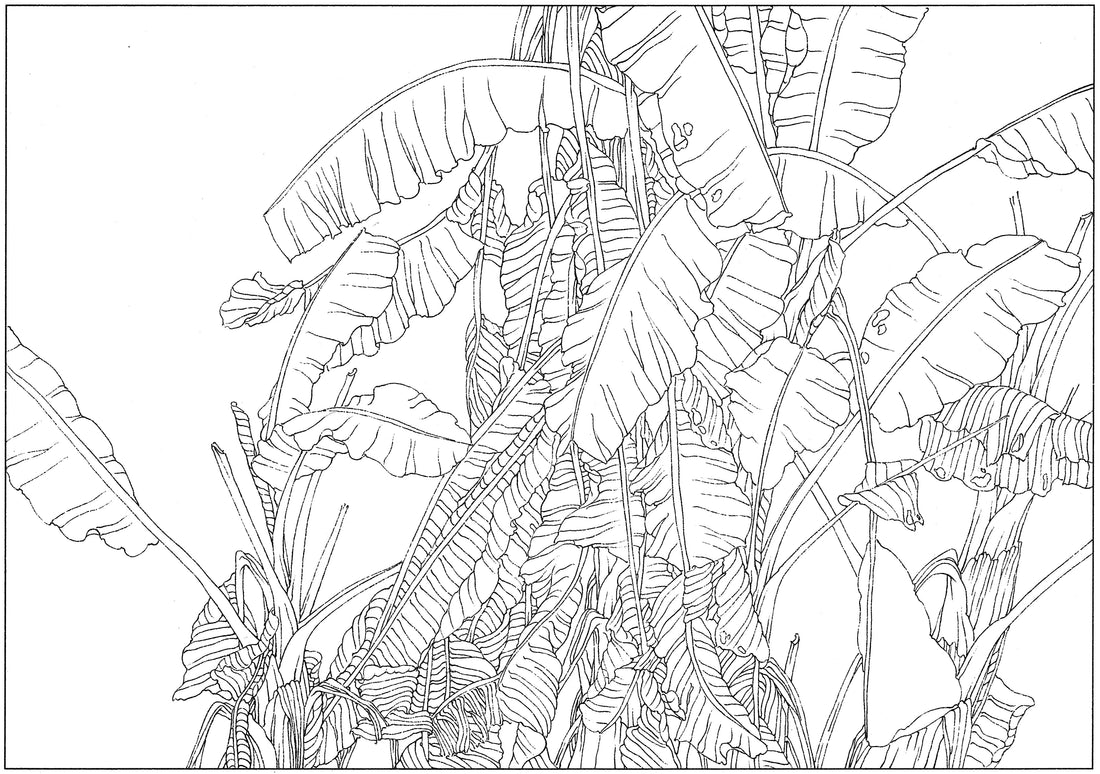 Chinese Ink Brush Banana Tree Art: Traditional Drawing Techniques