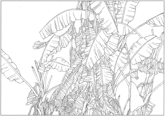 Chinese Ink Brush Banana Tree Art: Traditional Drawing Techniques