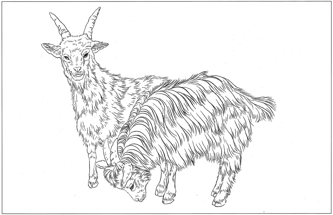 Discovering Sheep in Chinese Drawing Technique: An Artistic Appreciation
