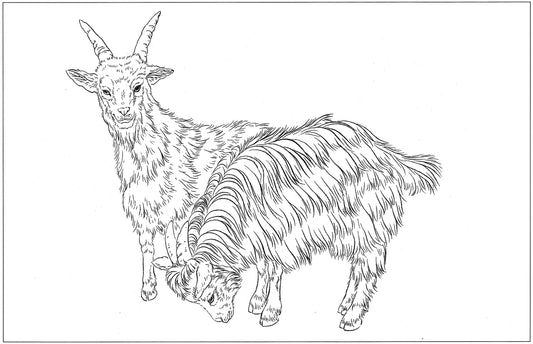 Discovering Sheep in Chinese Drawing Technique: An Artistic Appreciation