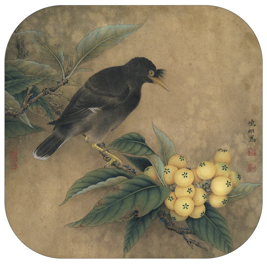 From Outline to Masterpiece: The Transformation of a Loquat Bird in Chinese Ink