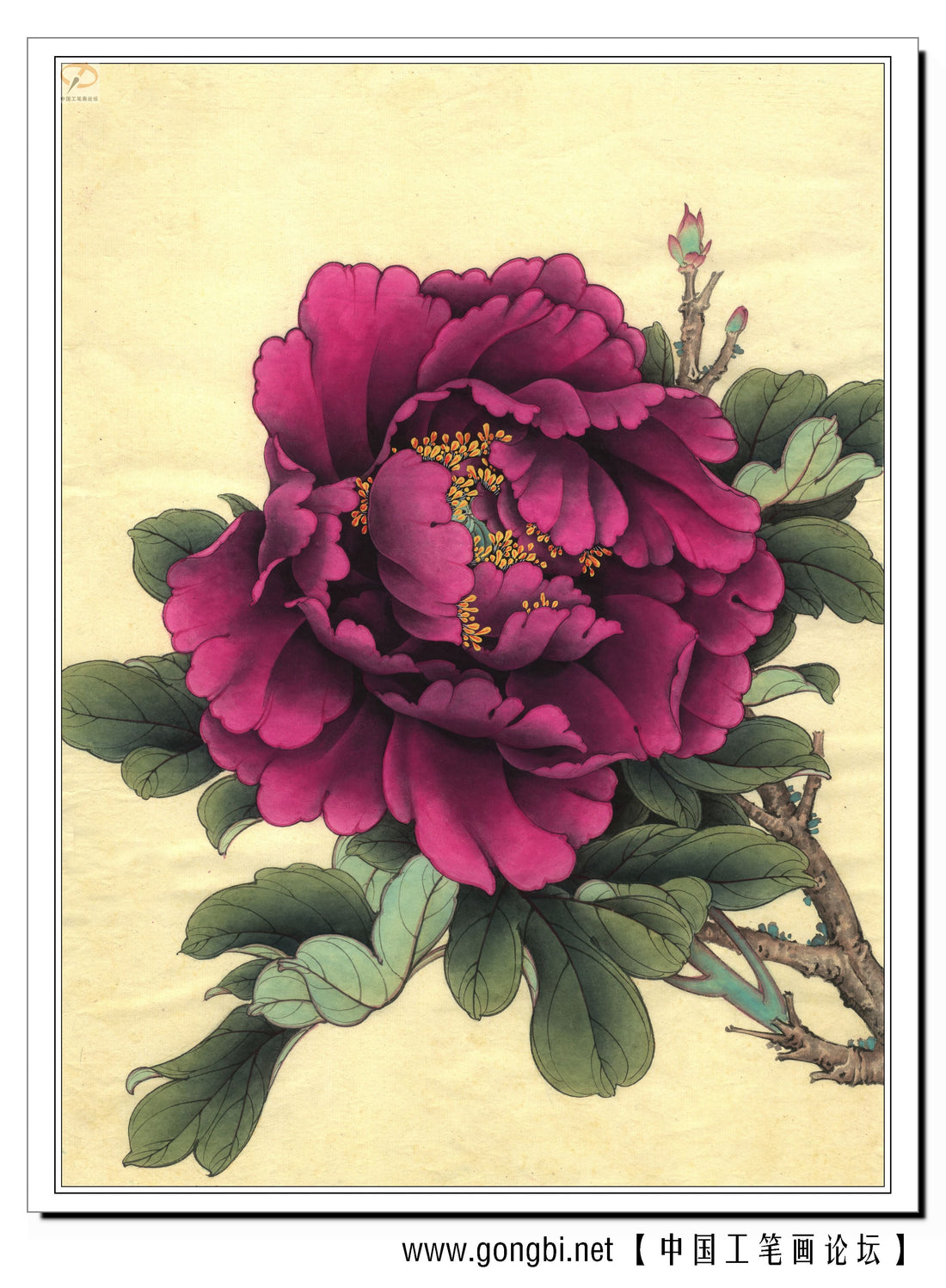 The Art of Gongbi: A Peony's Transformation Through Traditional Chinese Painting