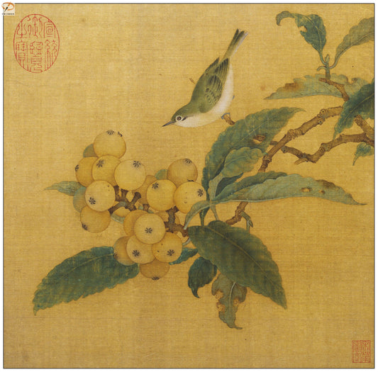 Mastering Traditional Chinese Loquat & White-eye Drawing Techniques