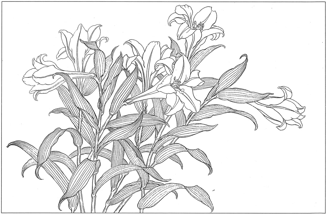 Lilies in Chinese Drawing Technique: An Appreciation of Traditional Art