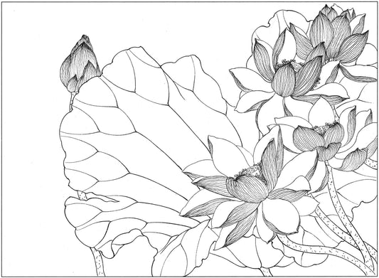 Appreciating Lotus Flowers in Traditional Chinese Ink Drawing Techniques