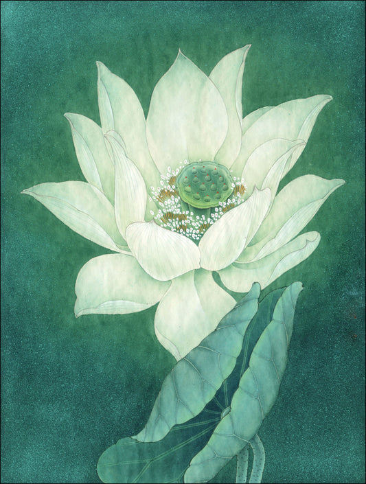 The Serene Lotus: A Journey Through Chinese Drawing Techniques