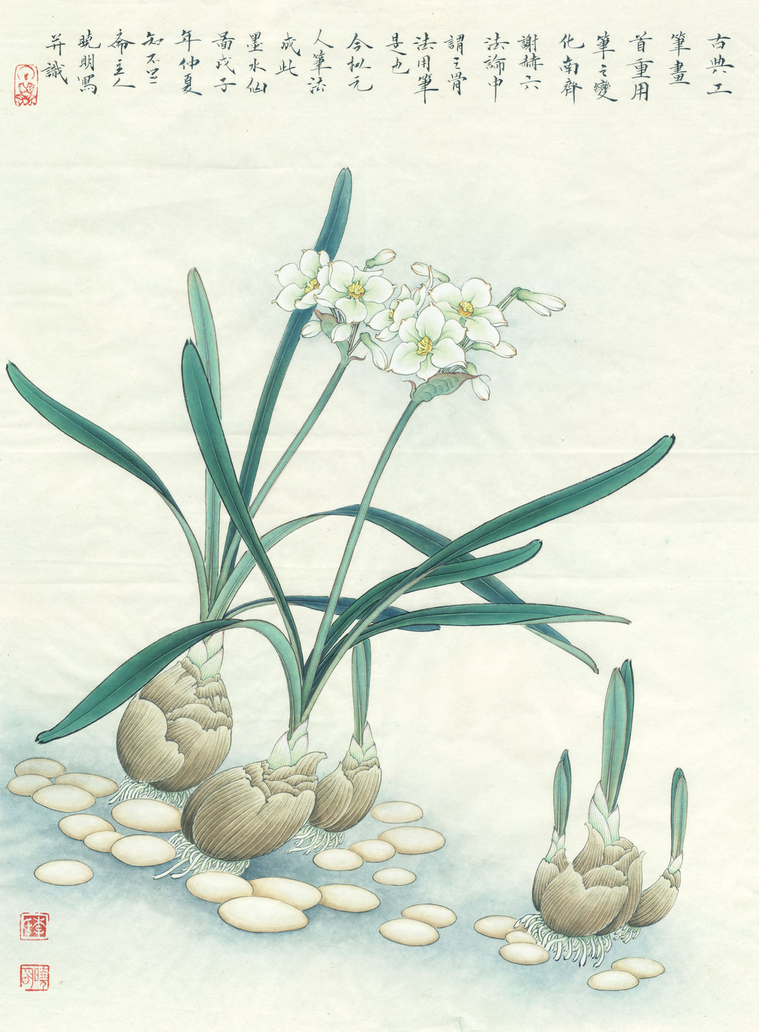 The Ethereal Beauty of "Narcissus Bloom": A Journey Through Chinese Drawing Techniques