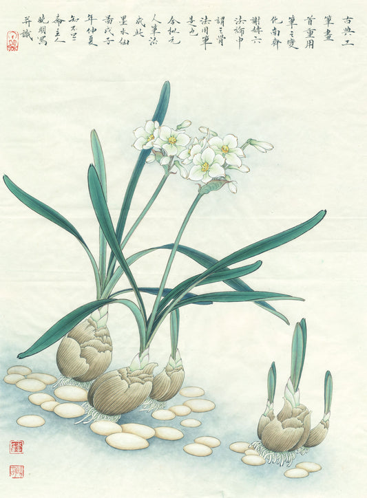 The Ethereal Beauty of "Narcissus Bloom": A Journey Through Chinese Drawing Techniques