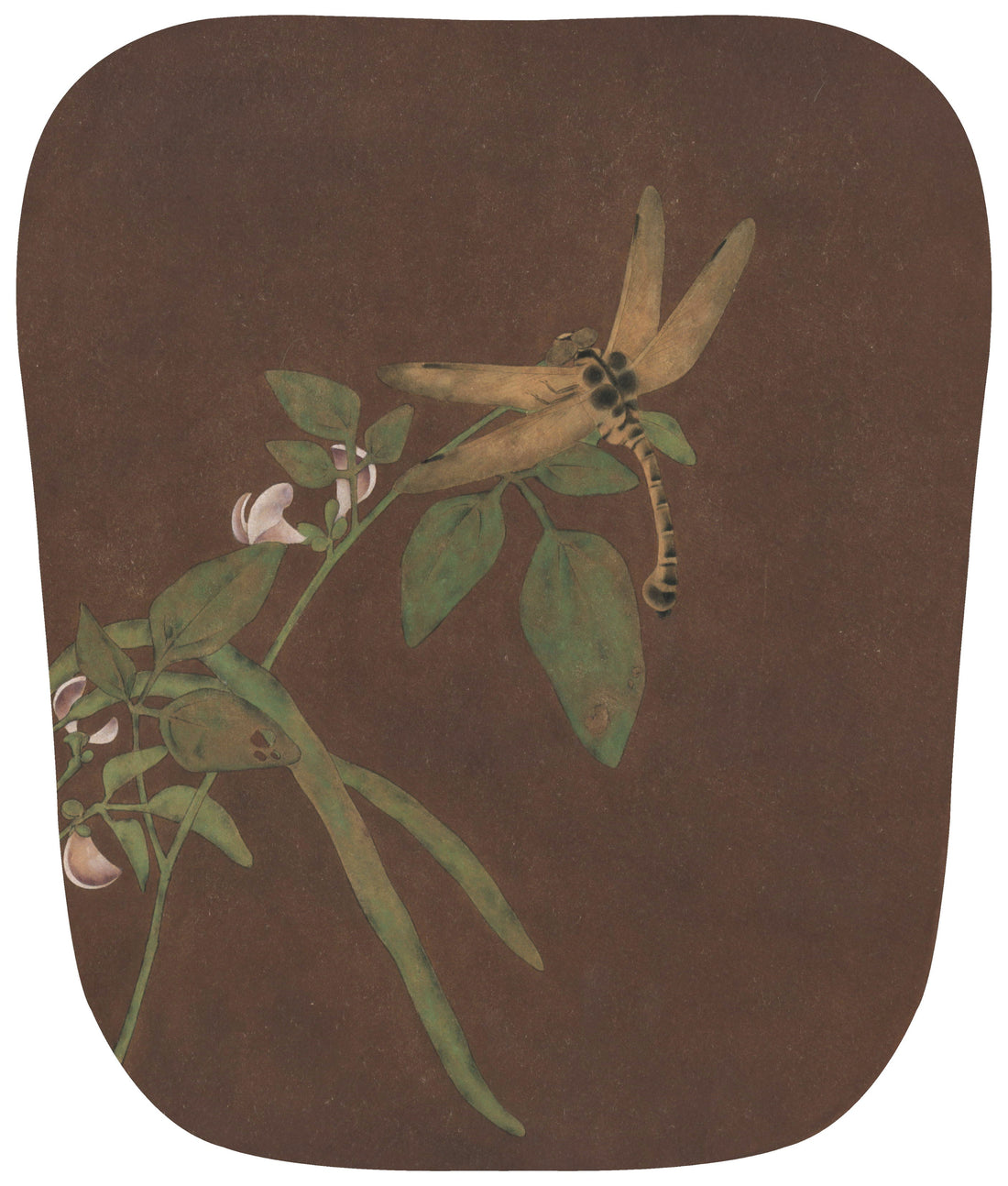 Dragonfly's Dance on Bean Blossoms: A Journey into Chinese Drawing Technique