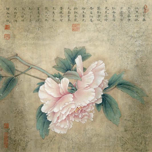 Mastering Chinese Peony Painting: A Step-by-Step Drawing Technique Guide