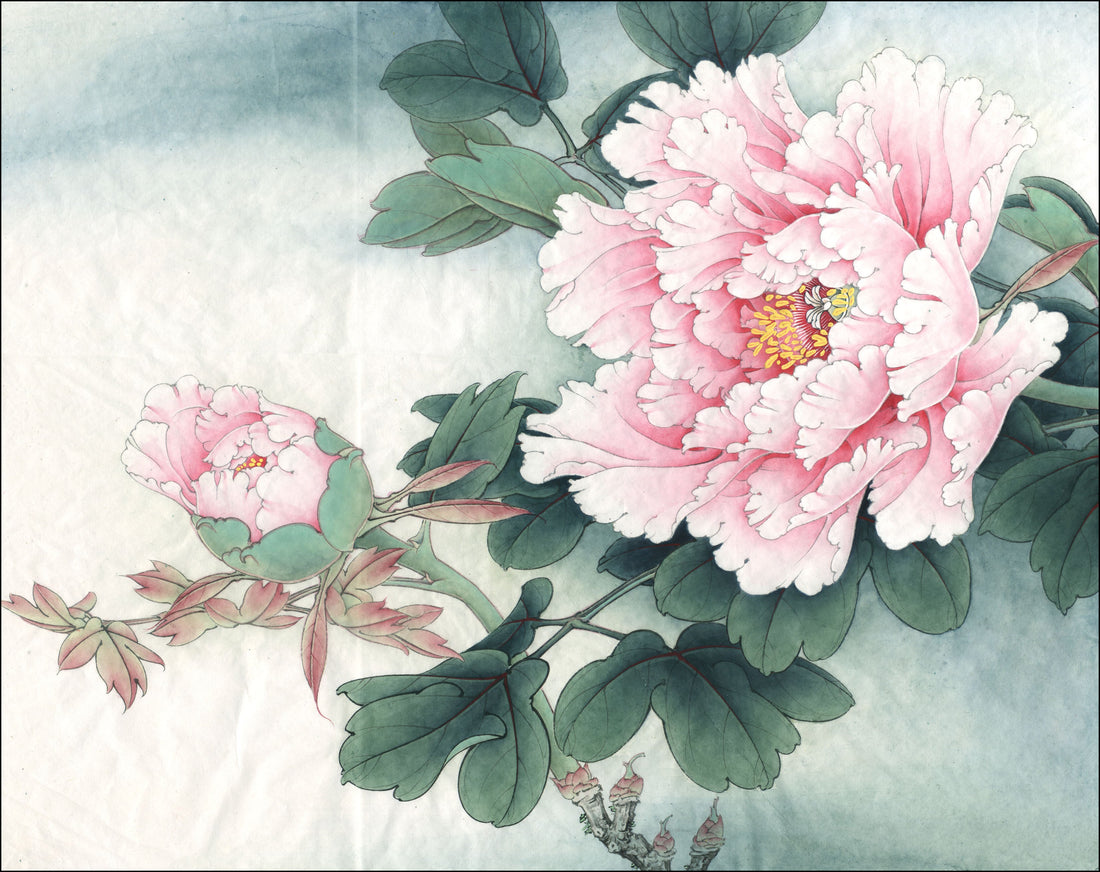 Mastering Peony Art: A Step-by-Step Guide to Chinese Drawing Technique