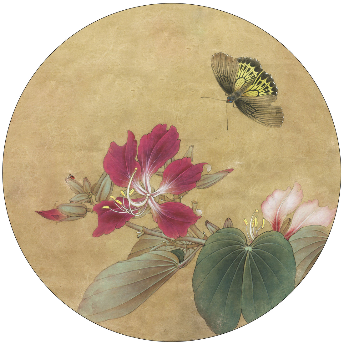 The Art of Bauhinia and Butterfly: A Journey Through Chinese Drawing Technique