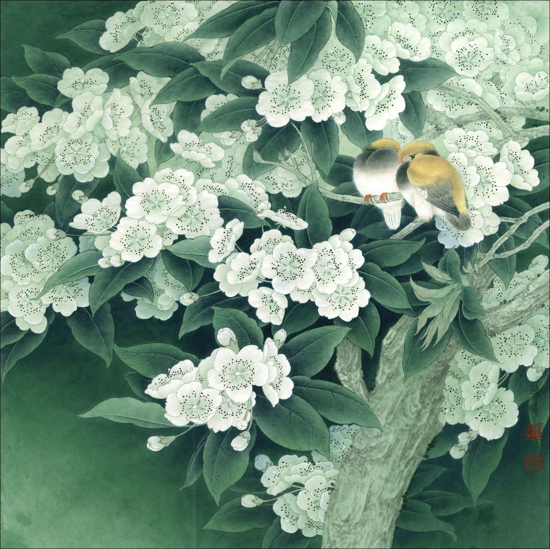 Blossom Canopy: The Art of Chinese Painting with Birds