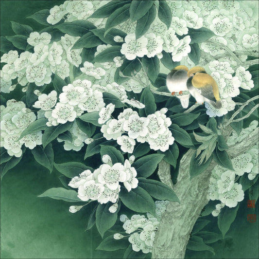 Blossom Canopy: The Art of Chinese Painting with Birds