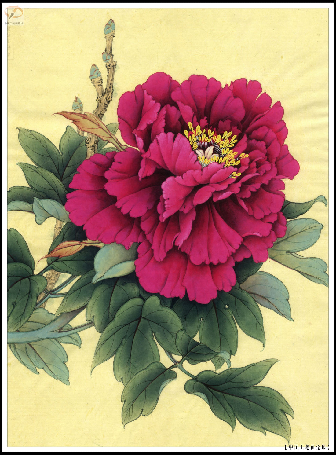 Crimson Peony Bloom: The Art of Chinese Brushwork Unveiled
