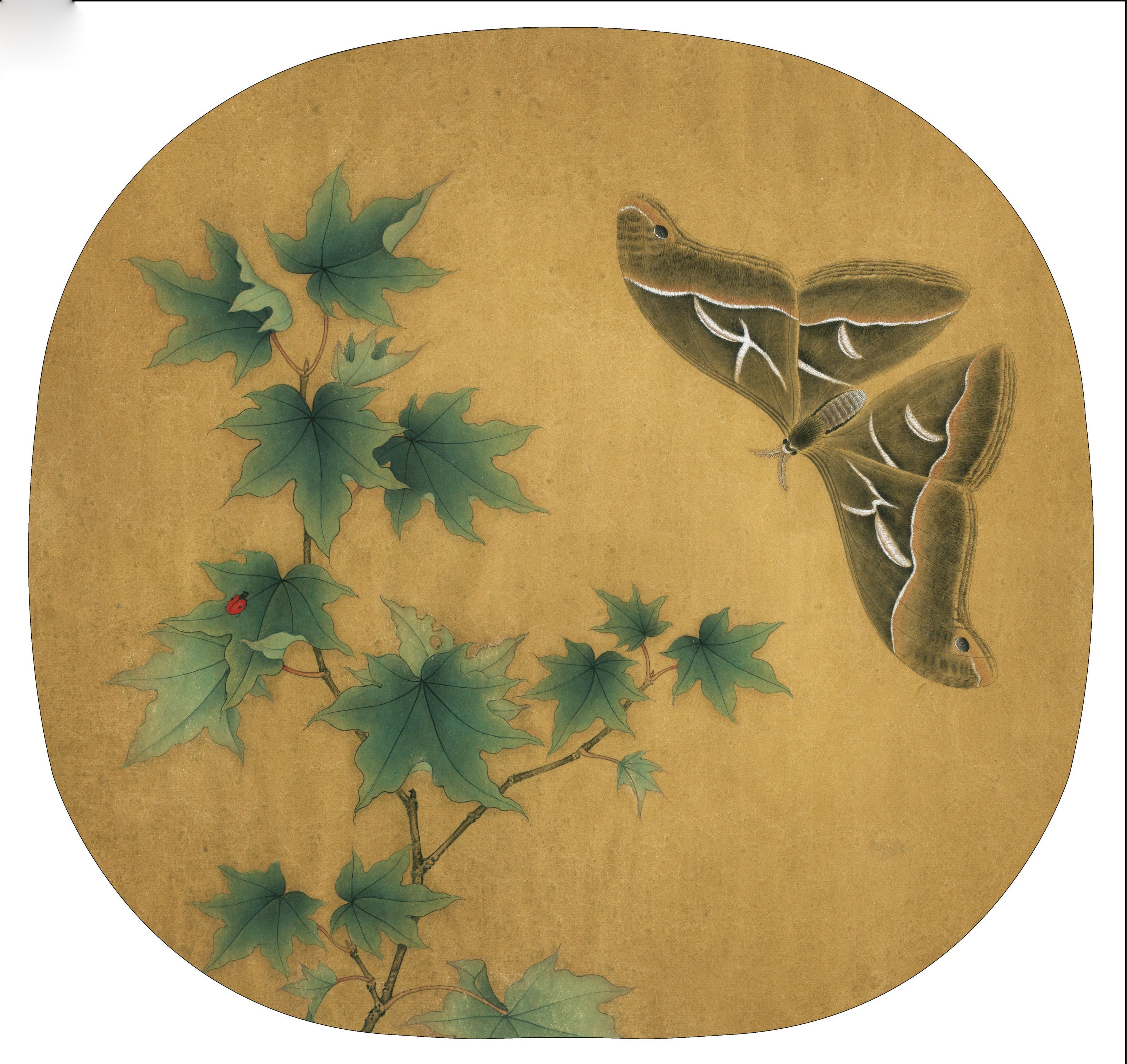 The Art of Subtlety: Witnessing a Moth and Maple Emerge Through Chines ...