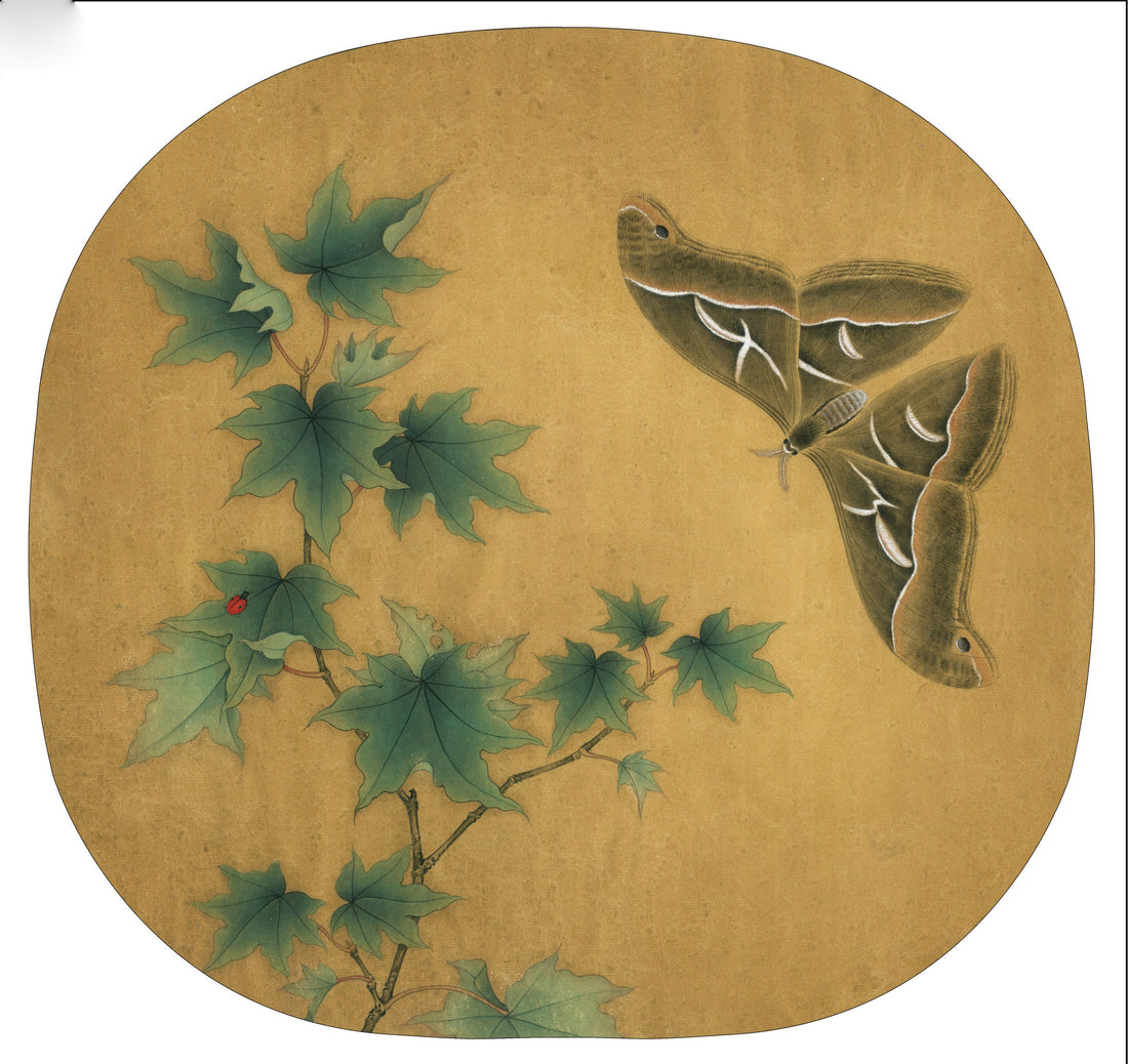 The Art of Subtlety: Witnessing a Moth and Maple Emerge Through Chinese Drawing Techniques