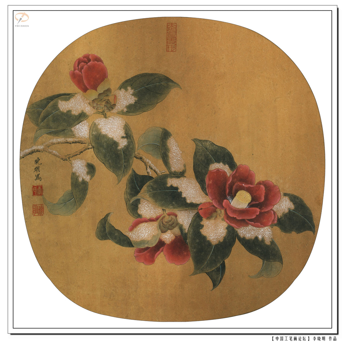 Winter Camellias: Mastering Chinese Drawing Techniques