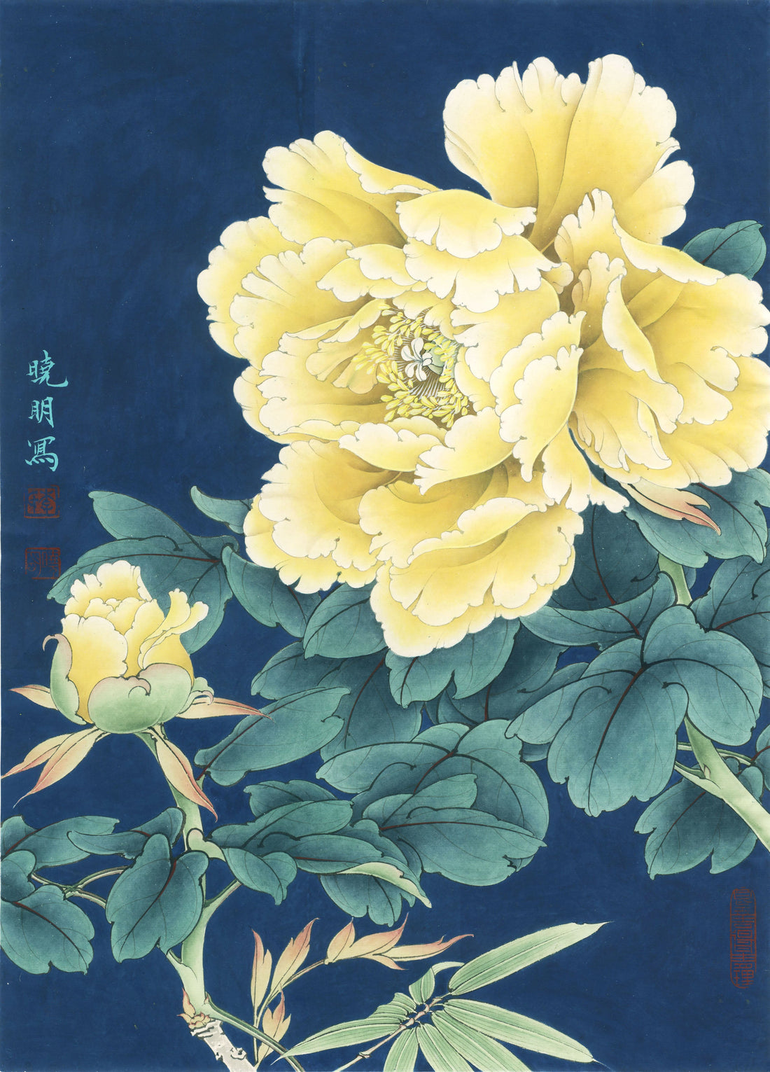The Golden Peony: A Journey Through Traditional Chinese Drawing Technique
