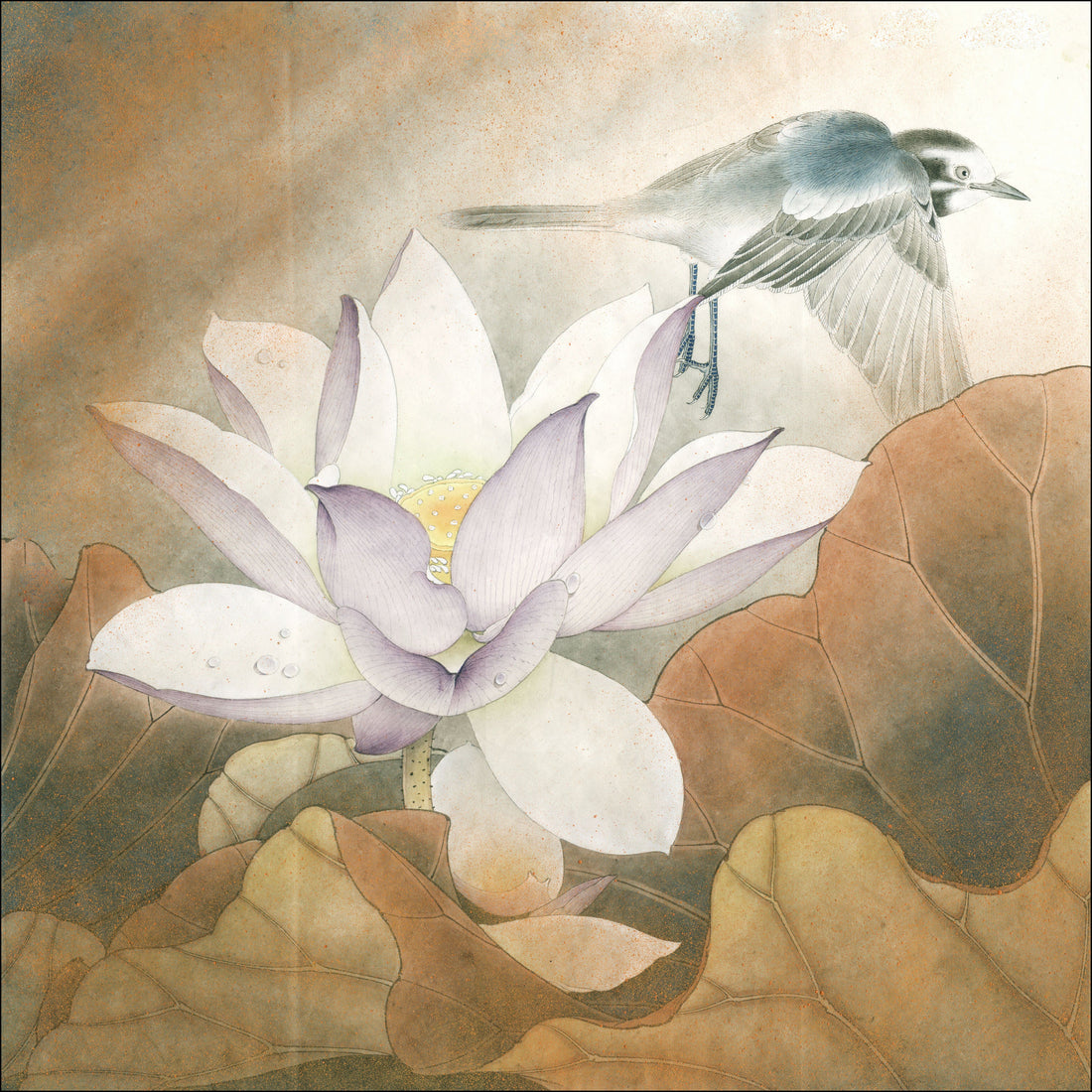 The Grace of Nature: A White Wagtail and Lotus Bloom – Mastering Chinese Drawing Technique