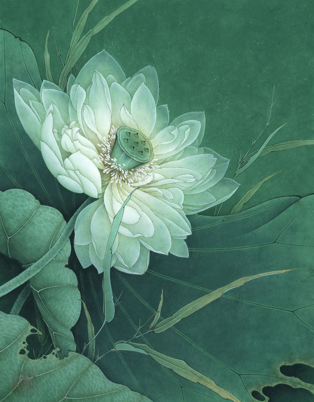 The Serene Lotus: A Journey Through Traditional Chinese Painting