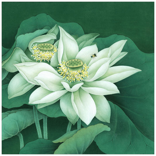 The Serene Beauty of 'Jade Petals': A Journey Through Chinese Drawing Technique
