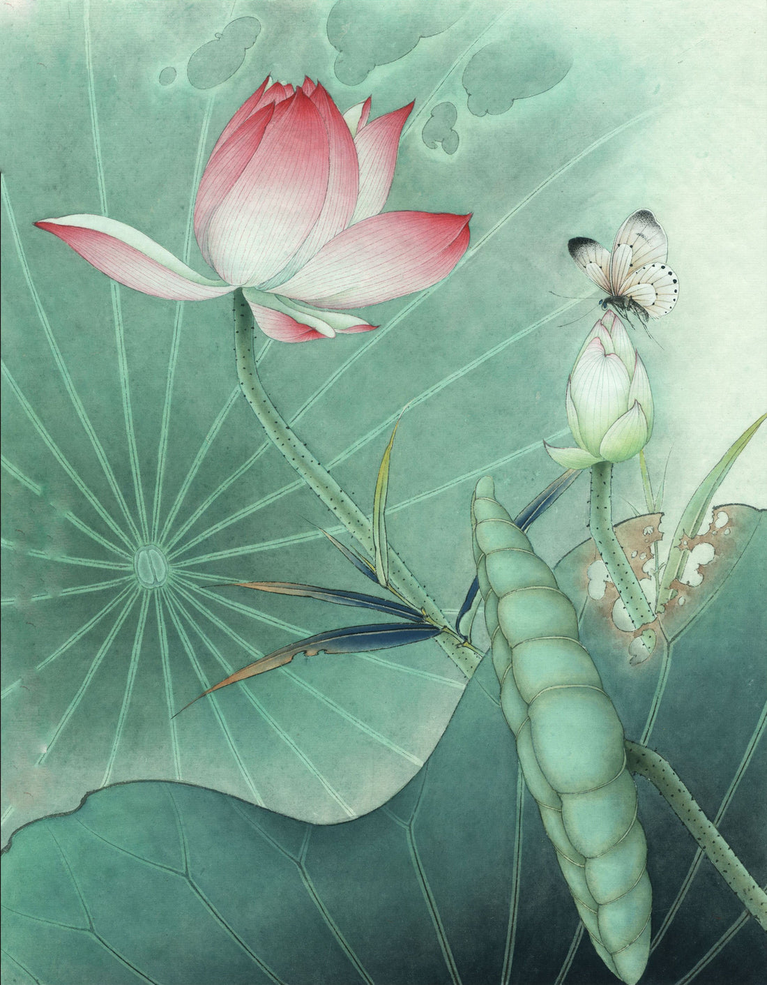 White Butterfly and Pink Lotus: A Journey Through Chinese Drawing Techniques