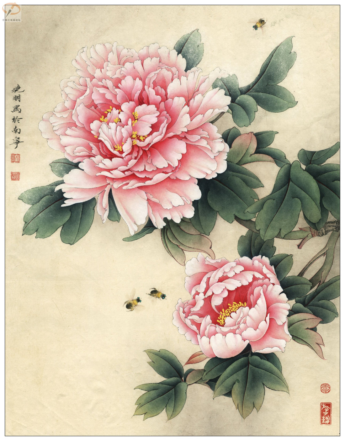 Peonies in Bloom: A Journey Through Chinese Drawing Techniques