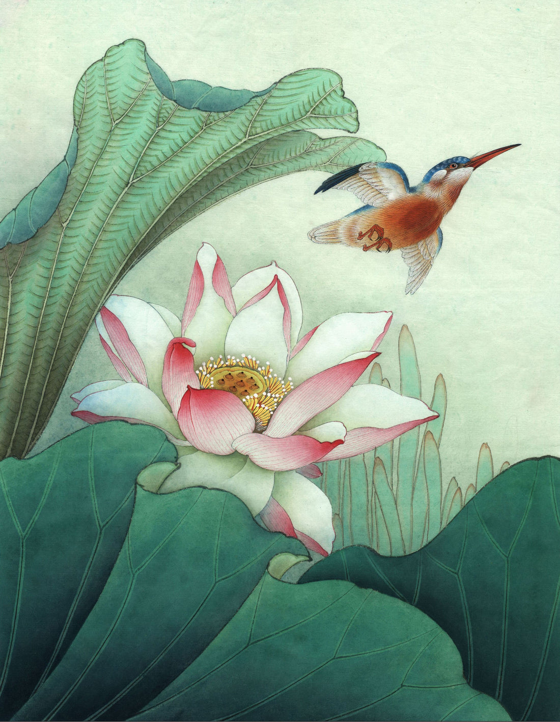 The Kingfisher and the Lotus: A Journey in Chinese Brush Painting
