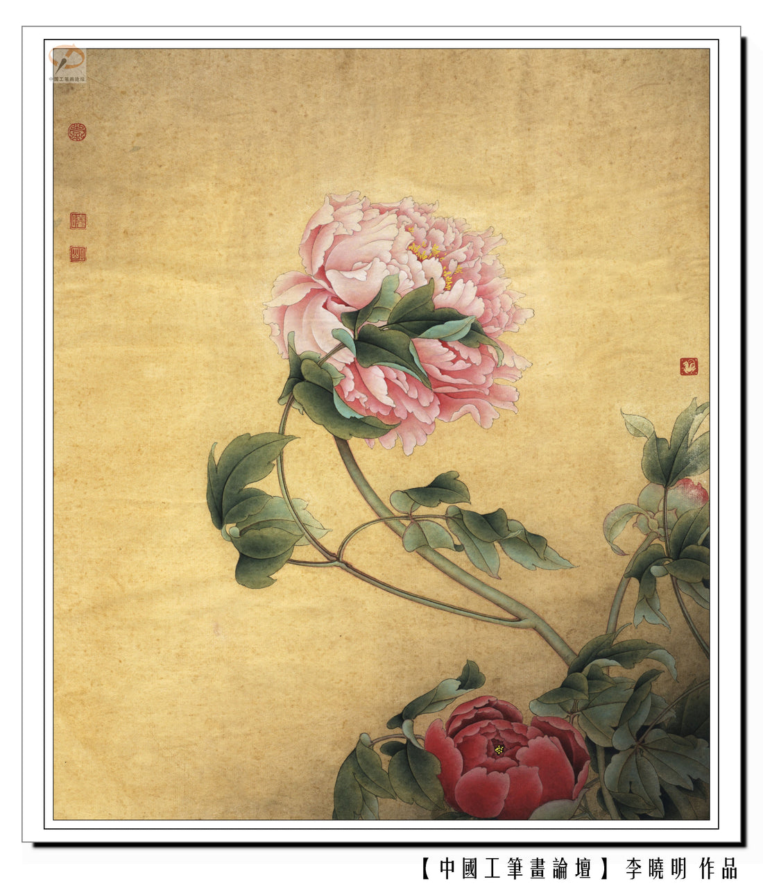 The Art of Peony: A Journey Through Traditional Chinese Brushwork