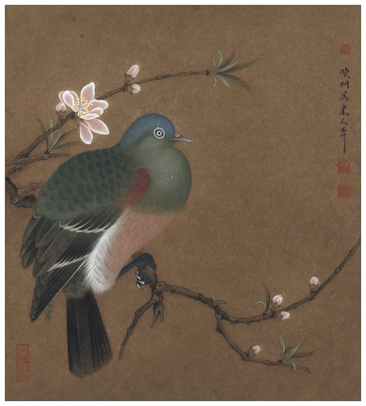 The Art of Peach Blossom & Dove: A Journey Through Traditional Chinese Painting