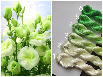 10g Fils de soie de mûrier légèrement torsadés à filament épais pour broderie de Suzhou (vert) - Fils Ronghua teints à la main