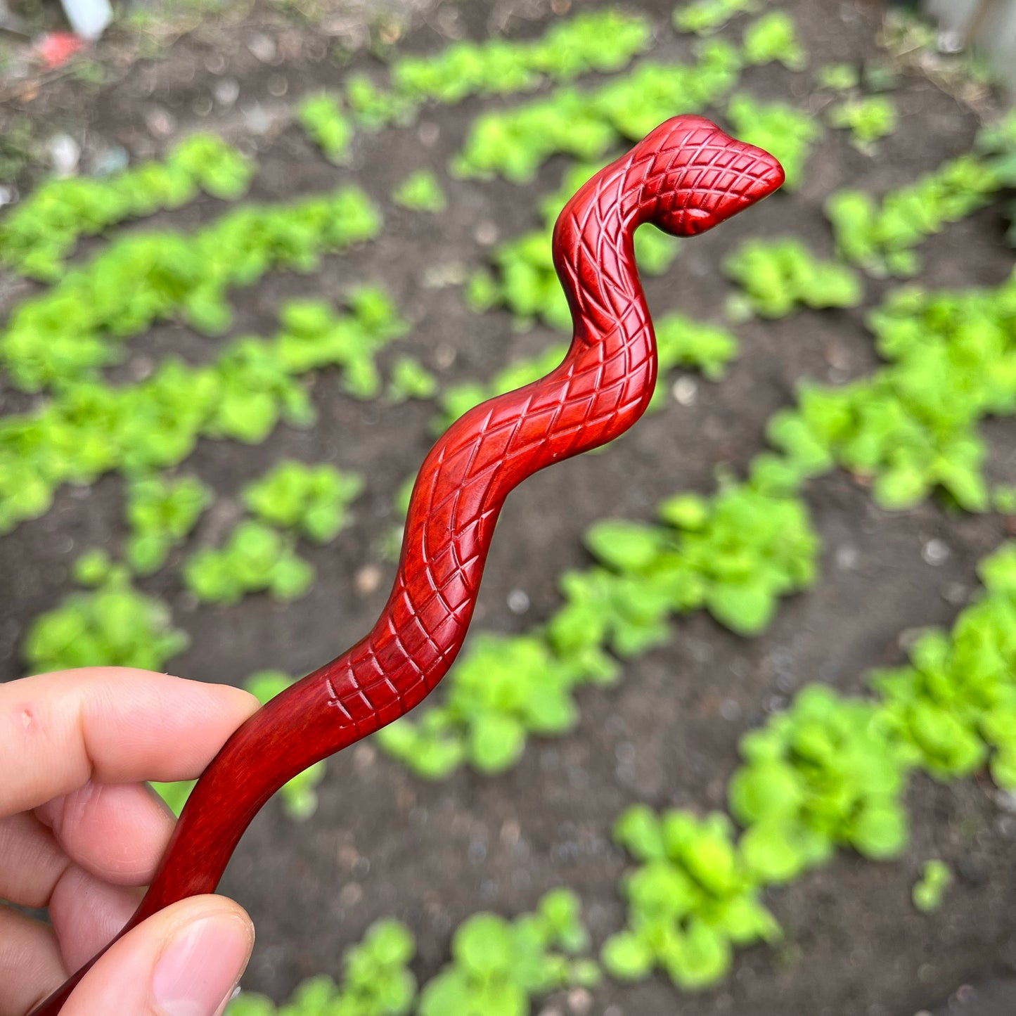 Pique à cheveux en palissandre naturel - Épingle à cheveux serpent de 20 cm finition lisse (灵蛇)