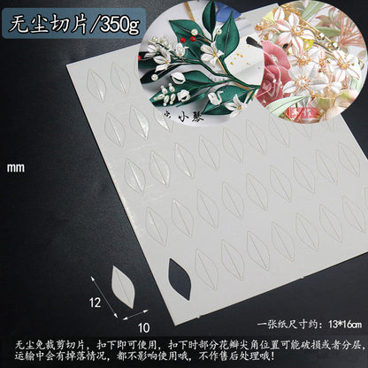 Chanhua Templates Modello Cartone Pretagliato (D1-D50)
