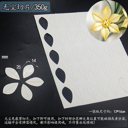 Chanhua Templates Modello Cartone Pretagliato (D1-D50)