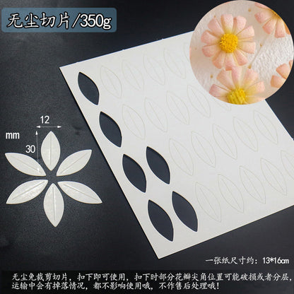 Chanhua Templates Modello Cartone Pretagliato (D1-D50)