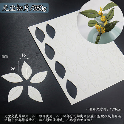 Chanhua Templates Modello Cartone Pretagliato (D1-D50)