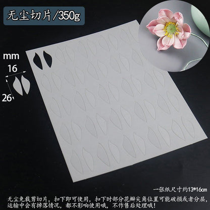 Chanhua Templates Modello Cartone Pretagliato (D1-D50)