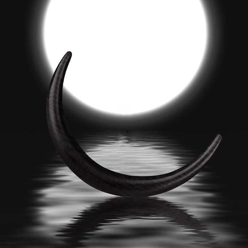 Side View of Half-Moon Ebony Wood Hair Stick – Smooth Finish