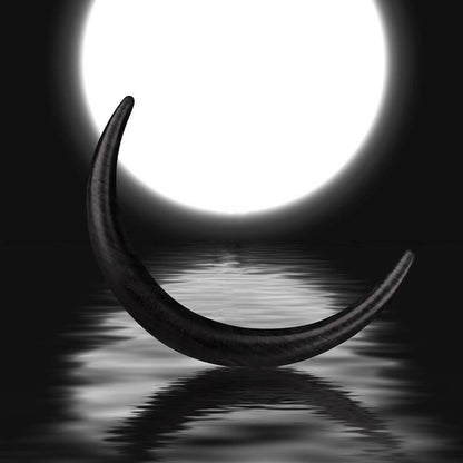 Side View of Half-Moon Ebony Wood Hair Stick – Smooth Finish