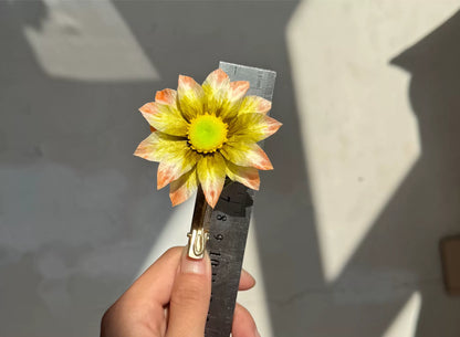 PF317 - Ronghua Hair Clip - Wholesale