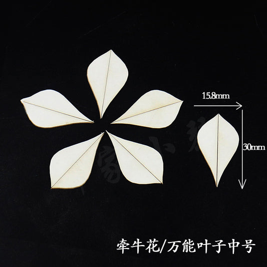 Chanhua Sagome Modelli Fustelle in Cartone Rigido (MC81-MC100)