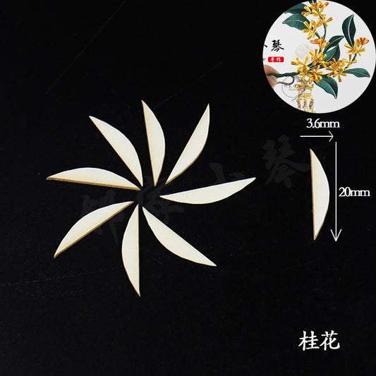 Fustelle in cartone Chanhua Templates Pattern (MC101-MC120)
