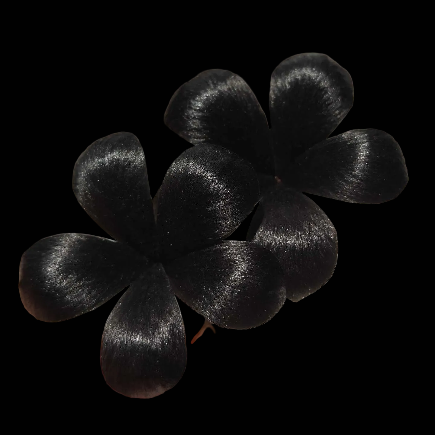 Handmade Ronghua Black Double Flower Brooch | Pure Black Mulberry Silk Velvet Floral Pin